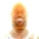 chrisloveslebron