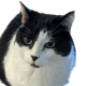 MrGooberMan
