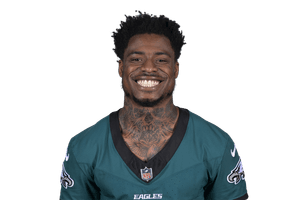 C.J. Gardner-Johnson Image