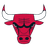 Bulls Logo