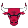 Bulls Logo